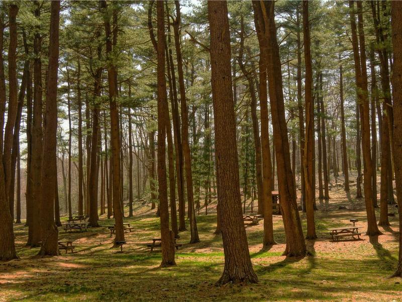 accessibility screenshot 3