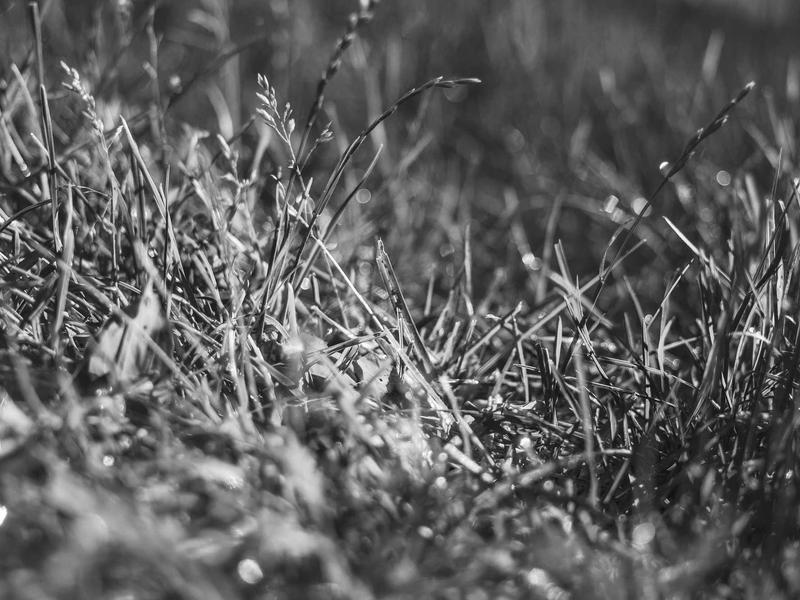 sudoku cell selection screenshot 4